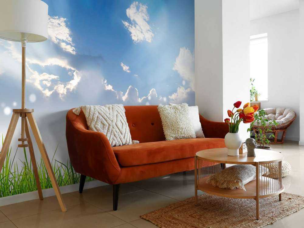 Gras onder prachtige wolken