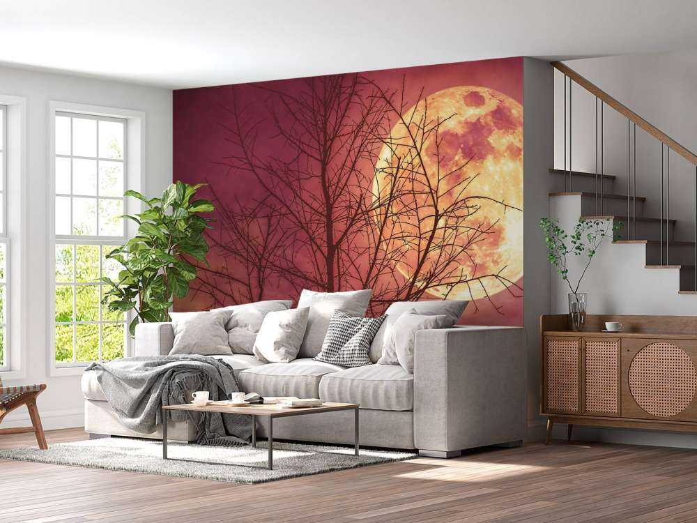 Kleurrijke maan design