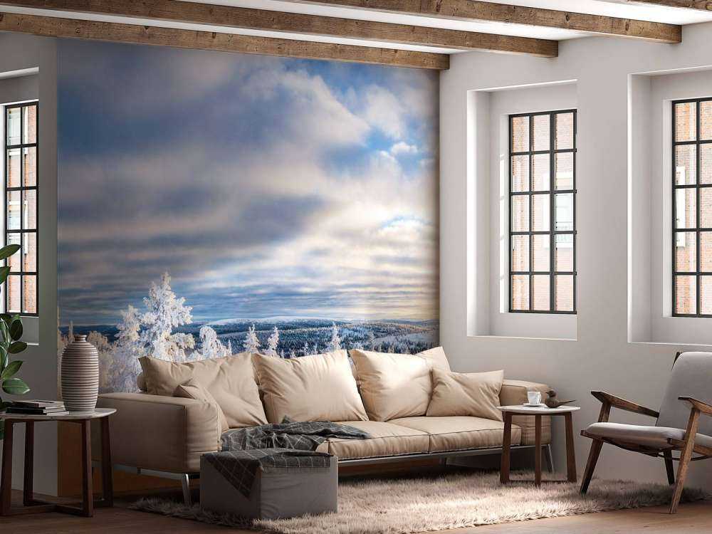 Skiër in een ingesneeuwd bos