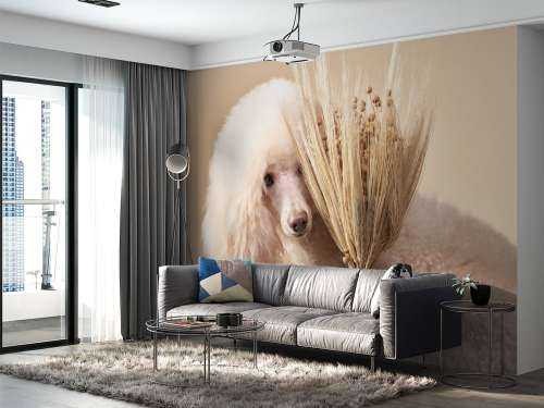 Hond en bloemen