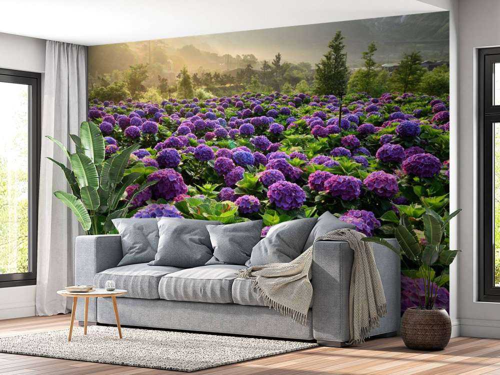 Hortensia's in een veld