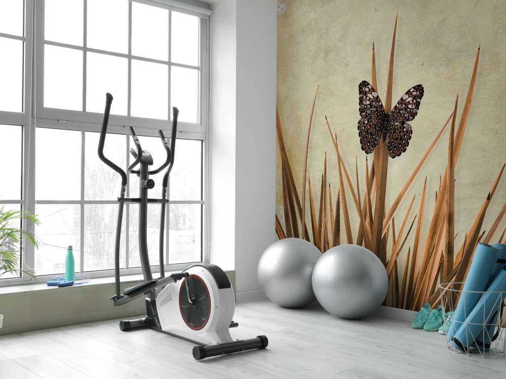 Vlinder bij oude muur