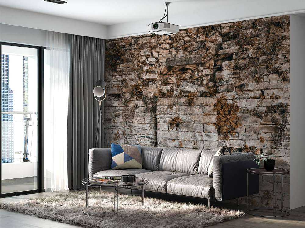 Begroeide muur in de herfst