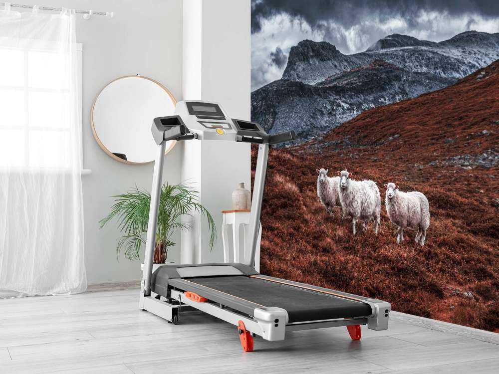 Schapen in roestkleurige bergen