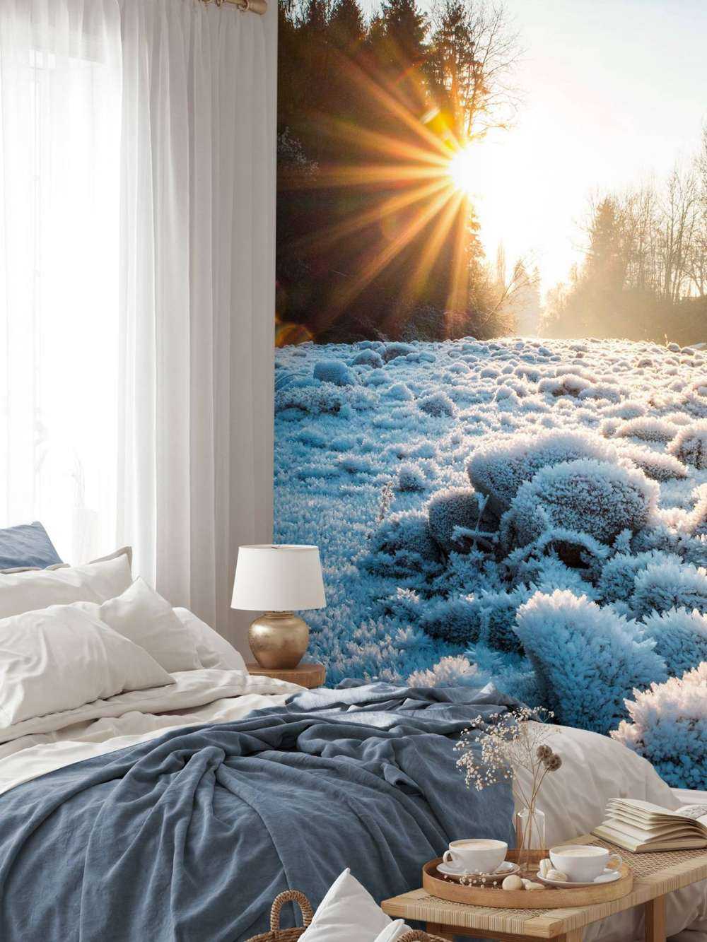 Ijzige ochtend in winterbos