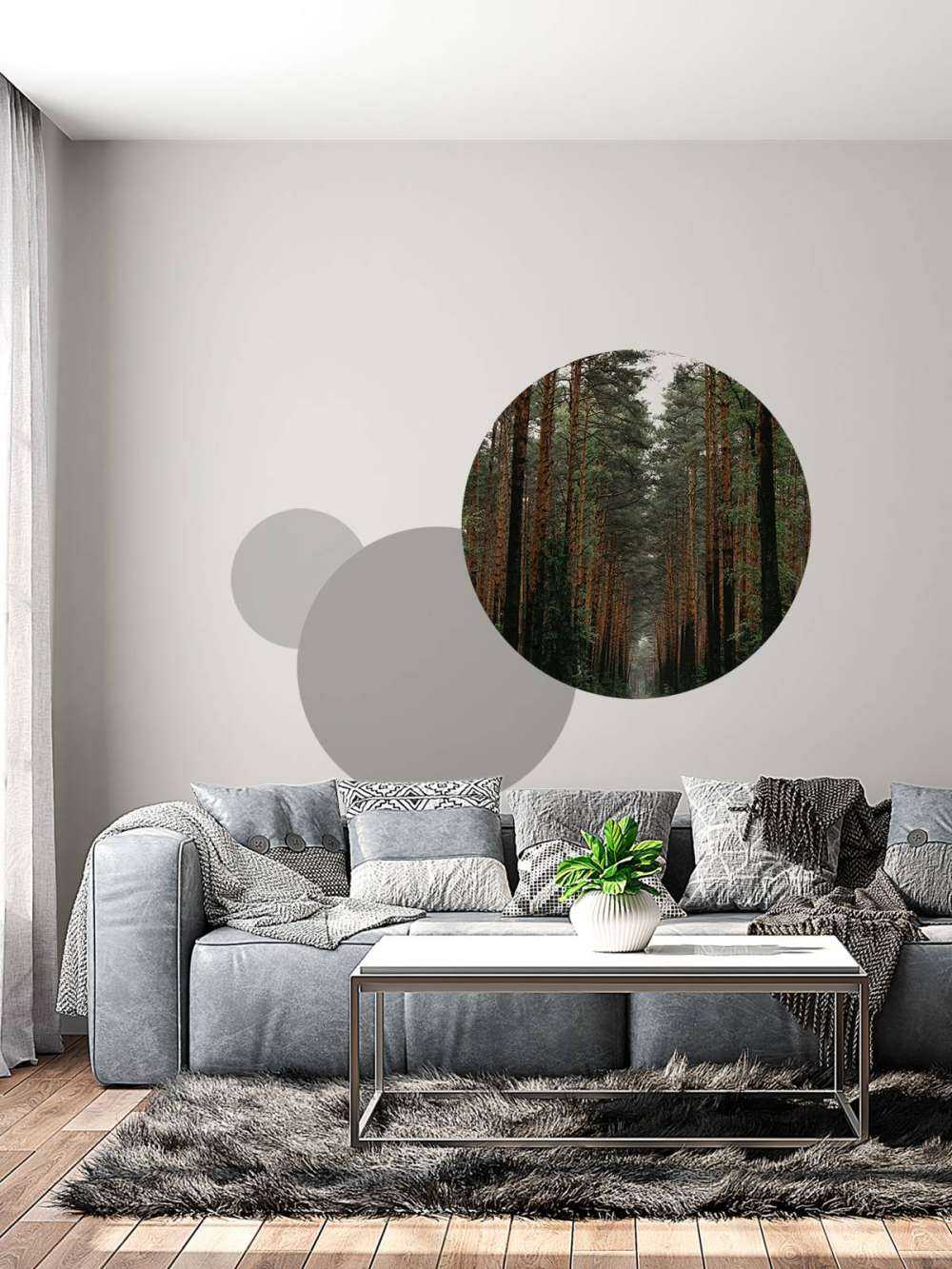 Symmetrie van het Woud