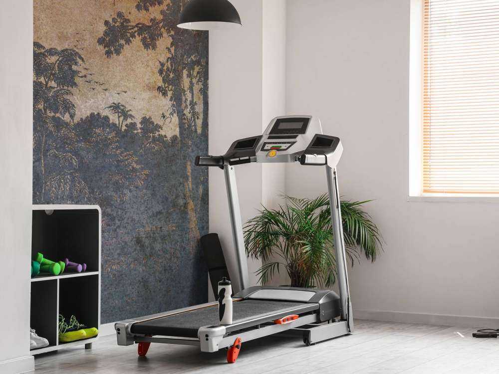 Verweerd oerwoud in schemerlicht