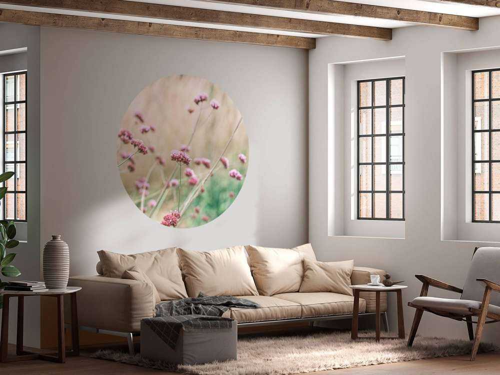 Soft pink meadow flowers