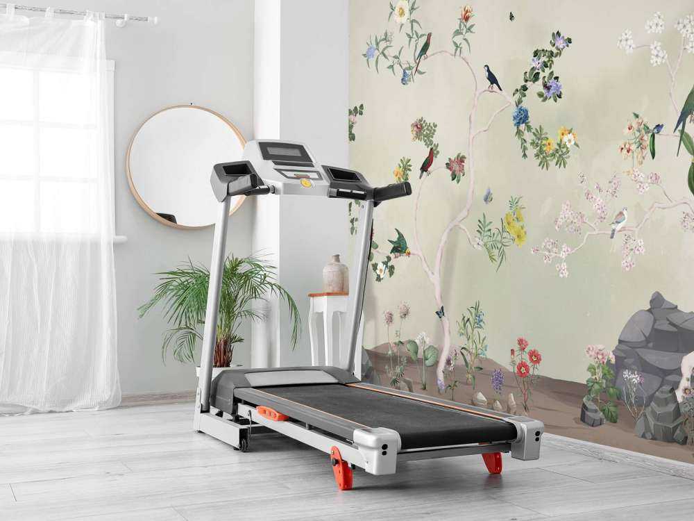 Birds in Garden Panorama 3