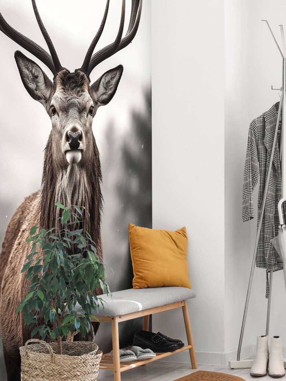 Winterkoning Herteblik