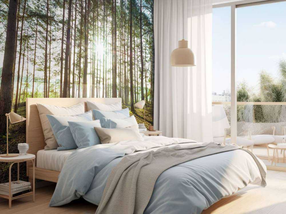 Sun rays through trees