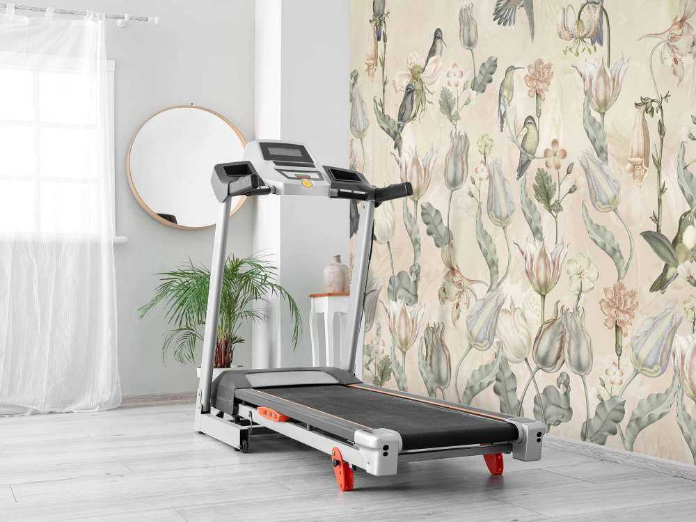 Spring Hummingbird Symphony - Desert Whisper