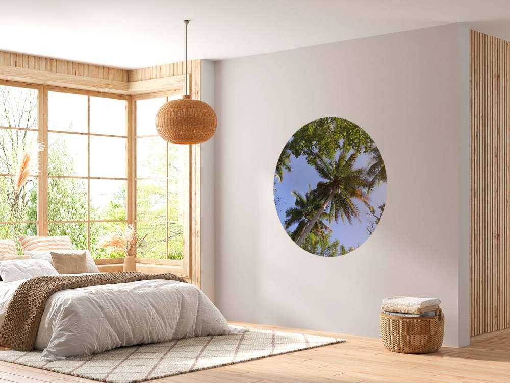 Palmbomen van onderaanzicht