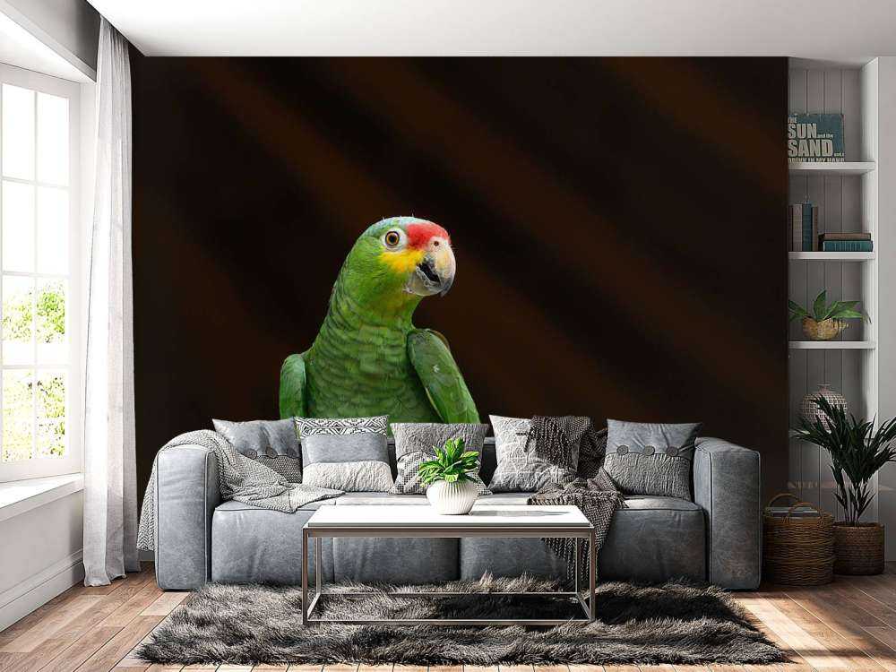 Nieuwsgierige papegaai