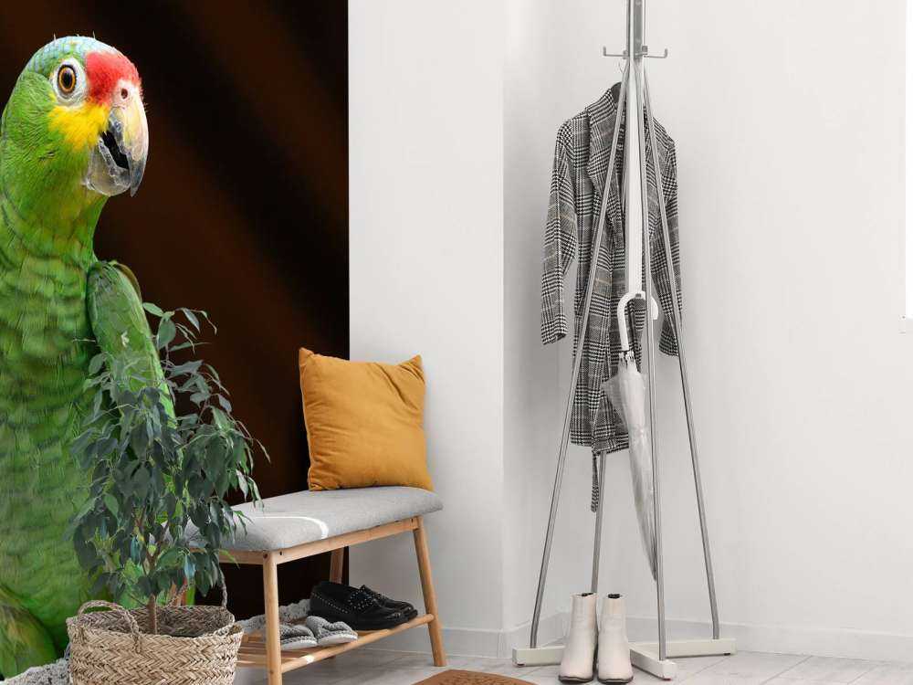 Nieuwsgierige papegaai