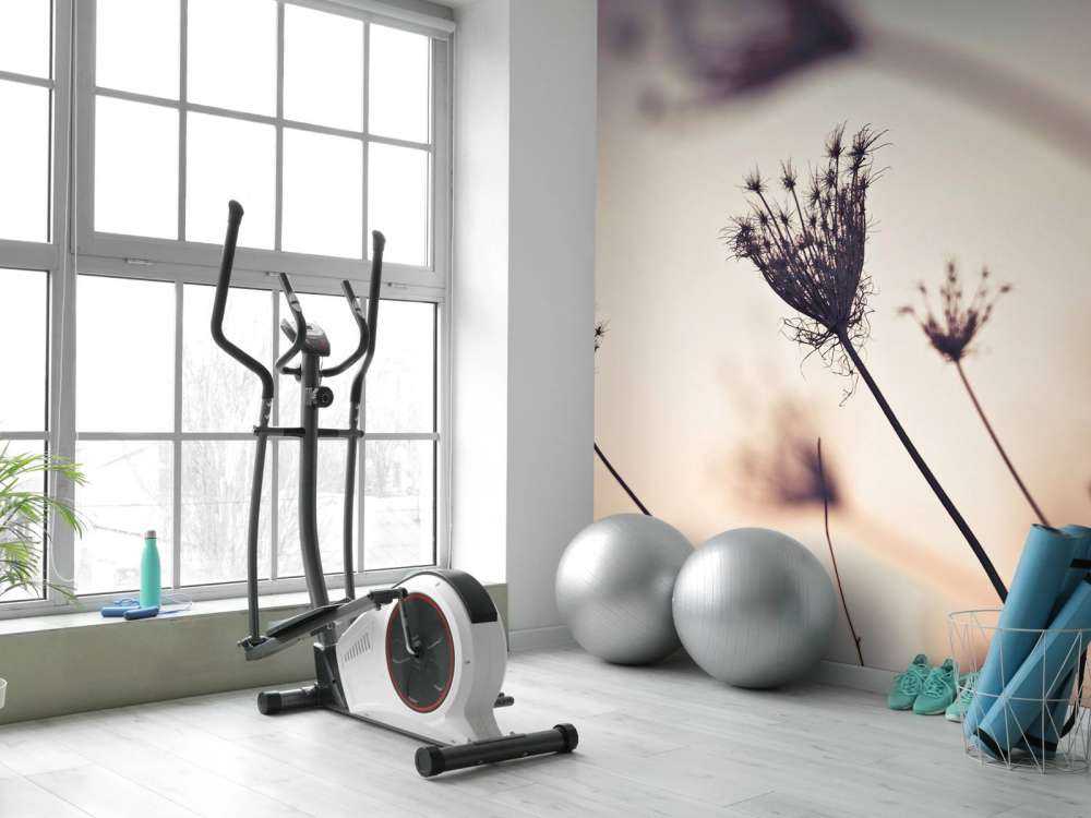 Silhouetten van planten