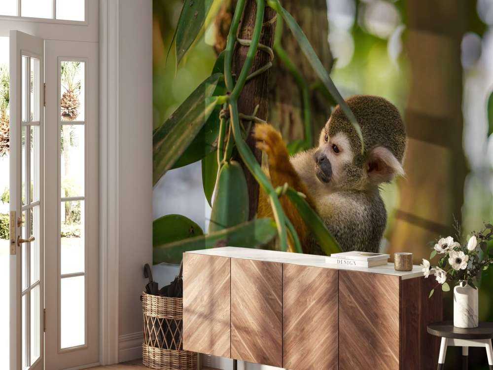 Kleine aap in de bomen