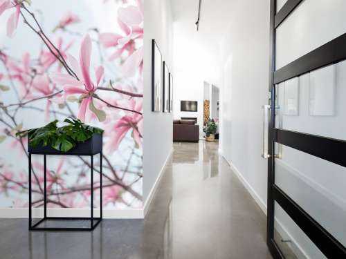 Magnolia