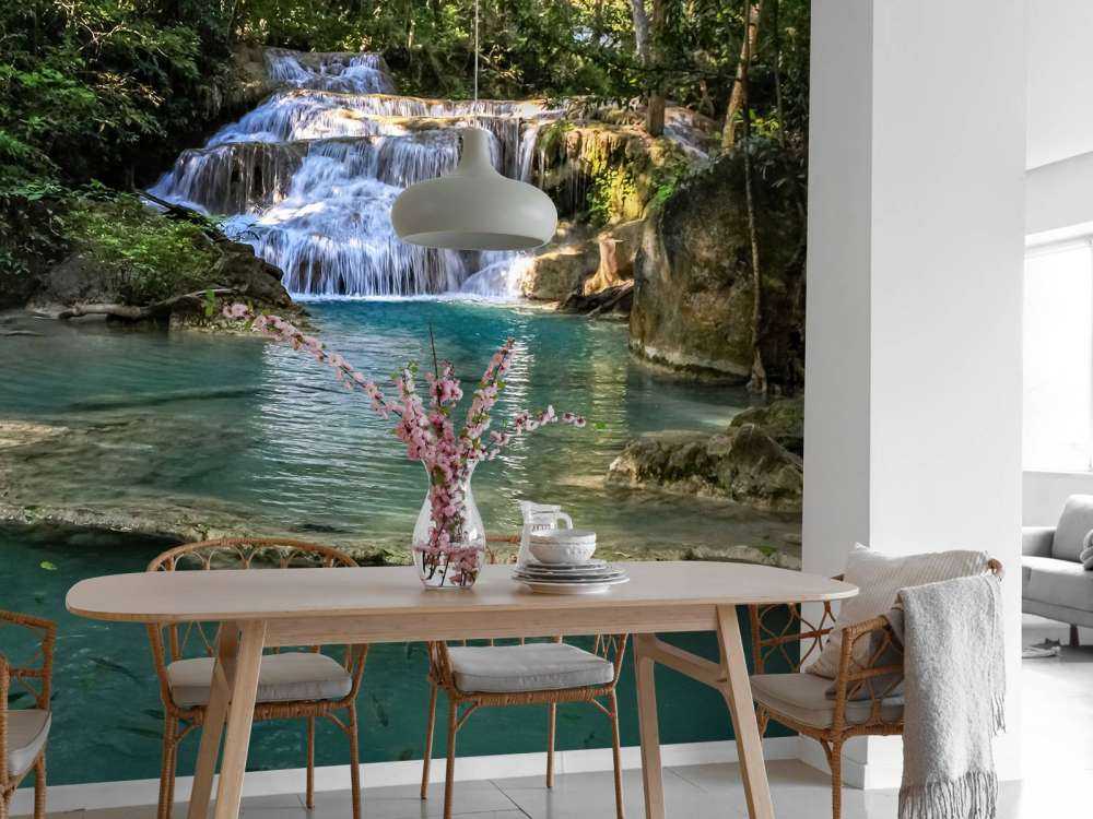 Vissen bij een waterval