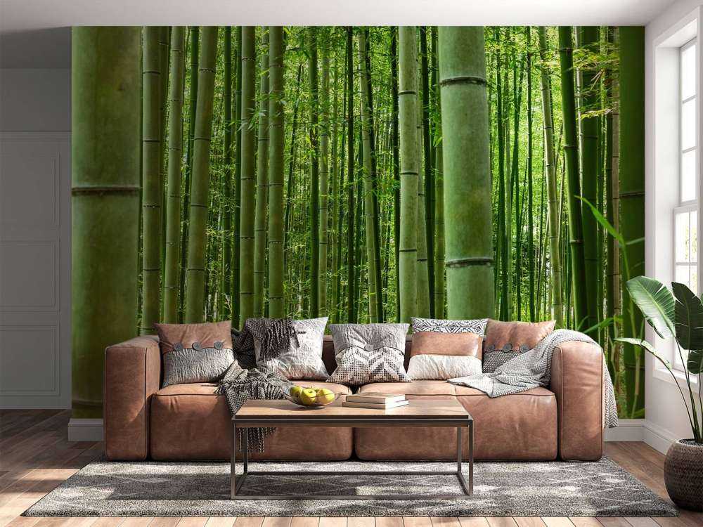 Midden in het bamboebos