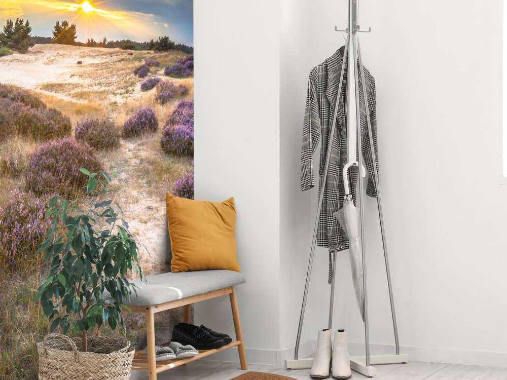 Zonsopkomst op de Veluwe