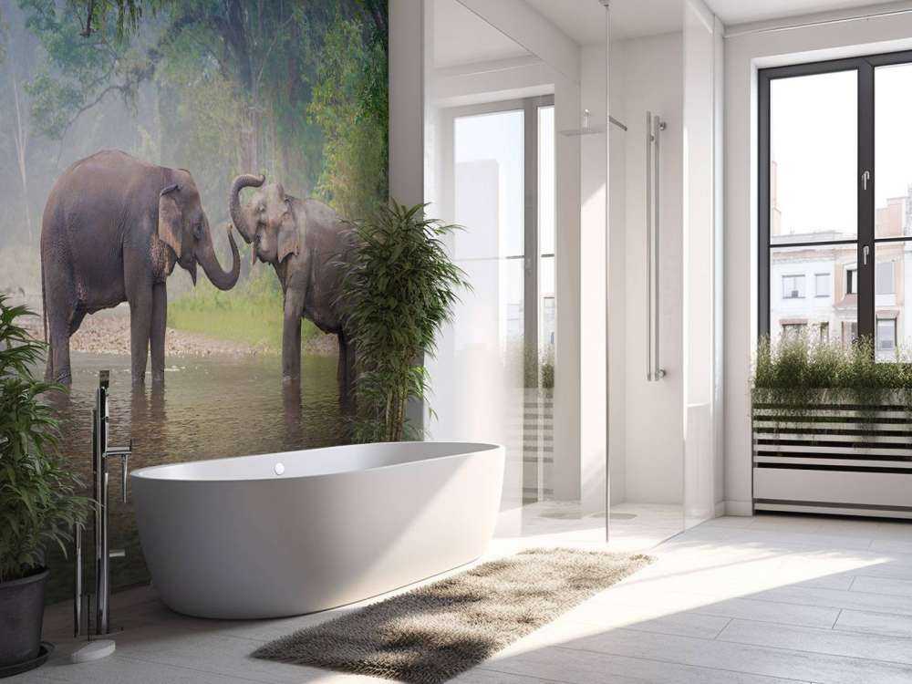 Aziatische olifanten in een rivier