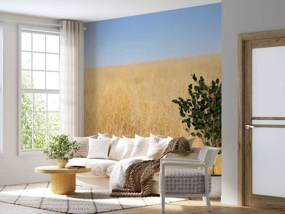 Afrikaanse leeuw op zoek naar een prooi