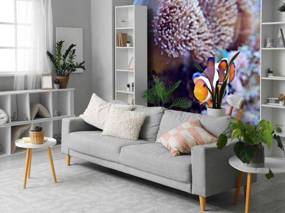 Anemoonvis in een koraalrif