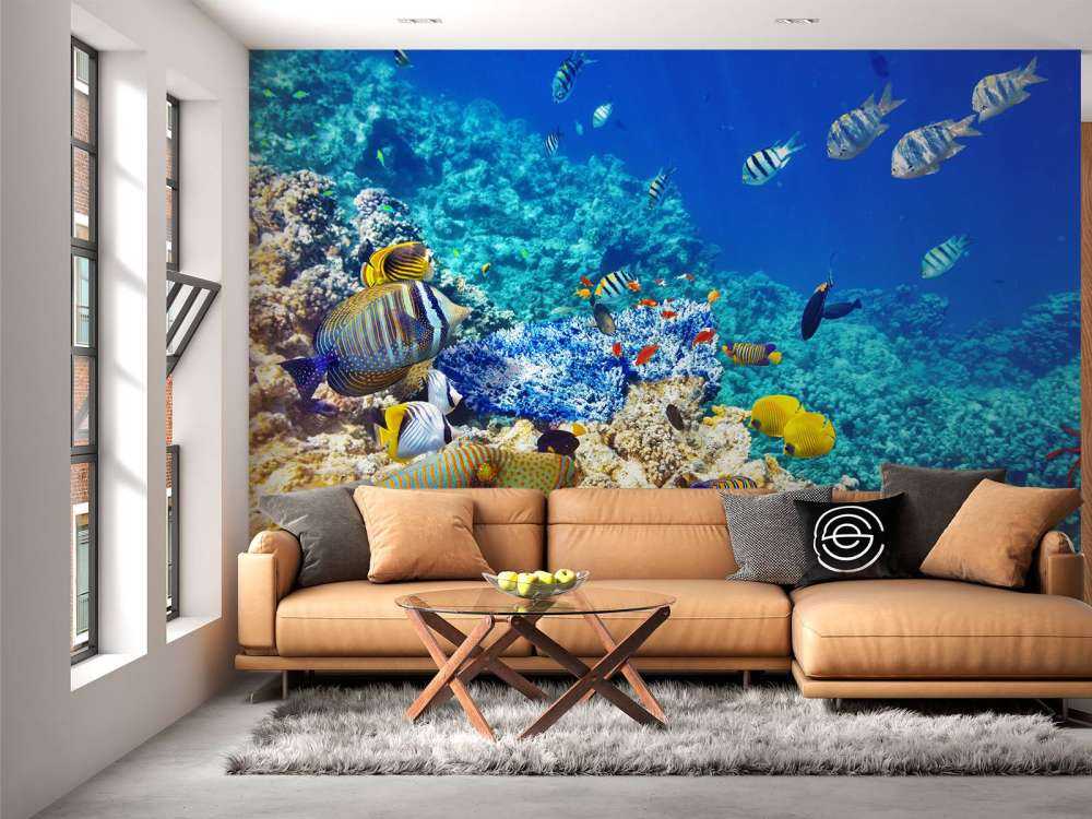 Exotische vissen in de oceaan