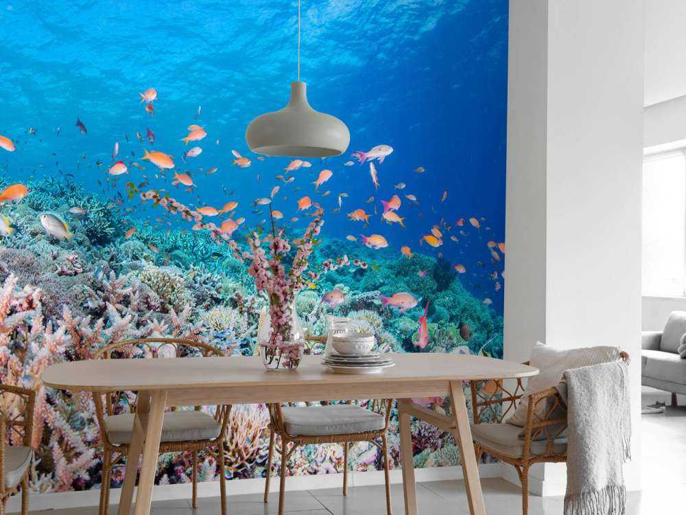 Koraalrif met kleine visjes