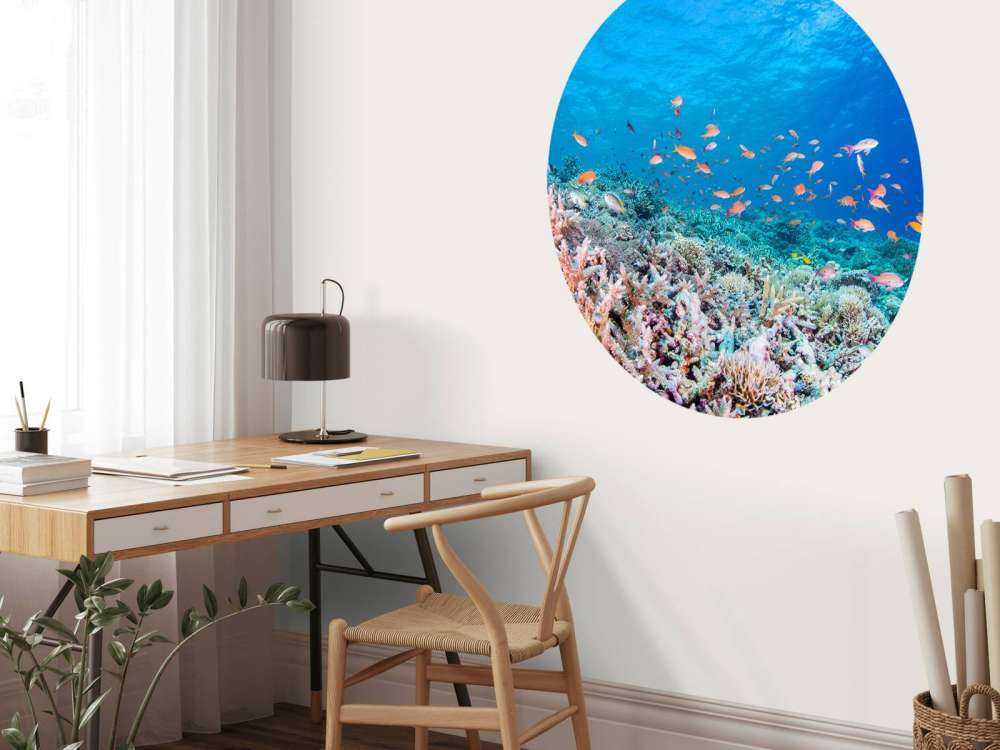 Koraalrif met kleine visjes