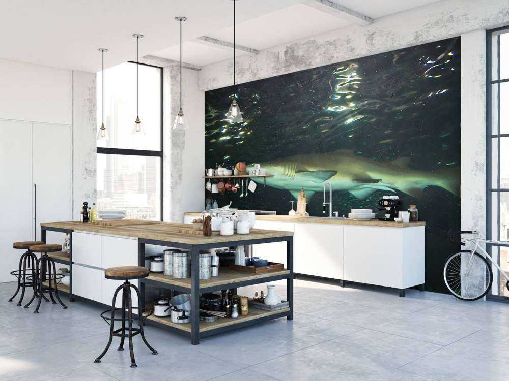 Grote witte haai in een aquarium