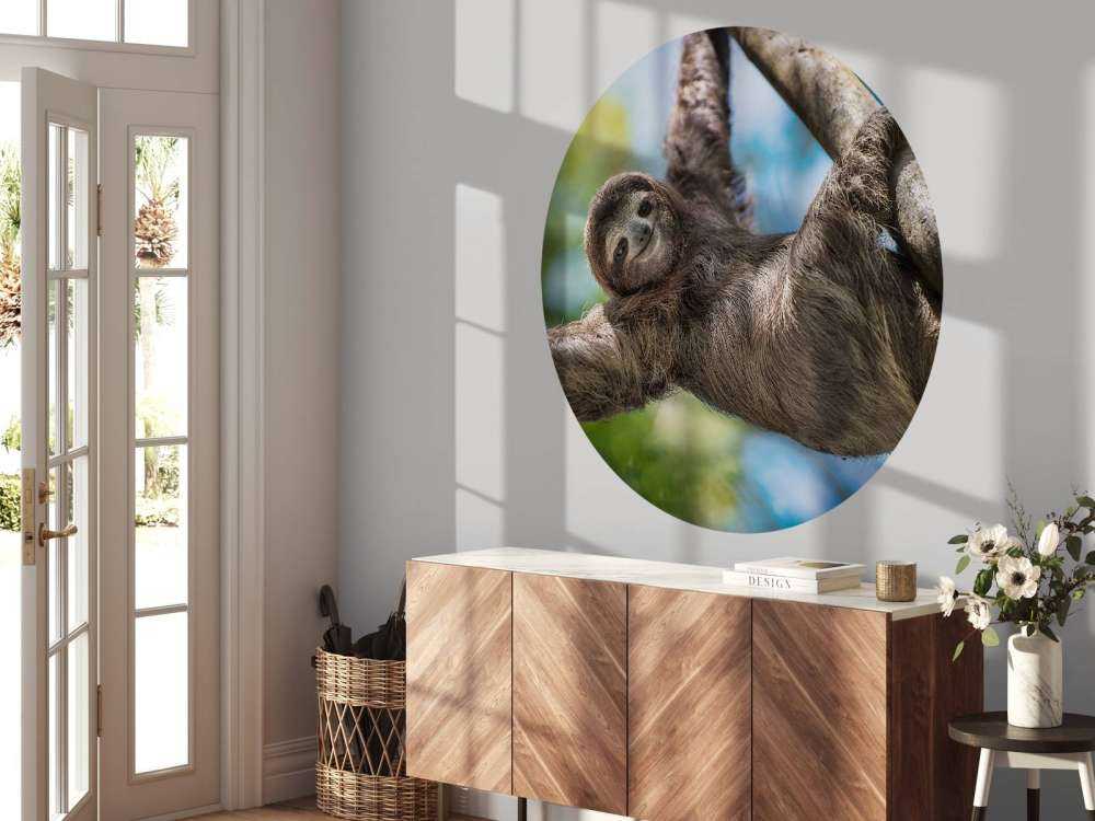 Gelukkige luiaard in het oerwoud