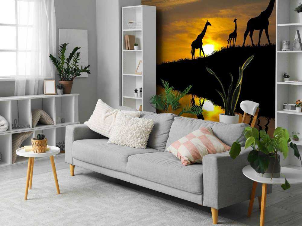 Zonsondergang in een tropisch gebied