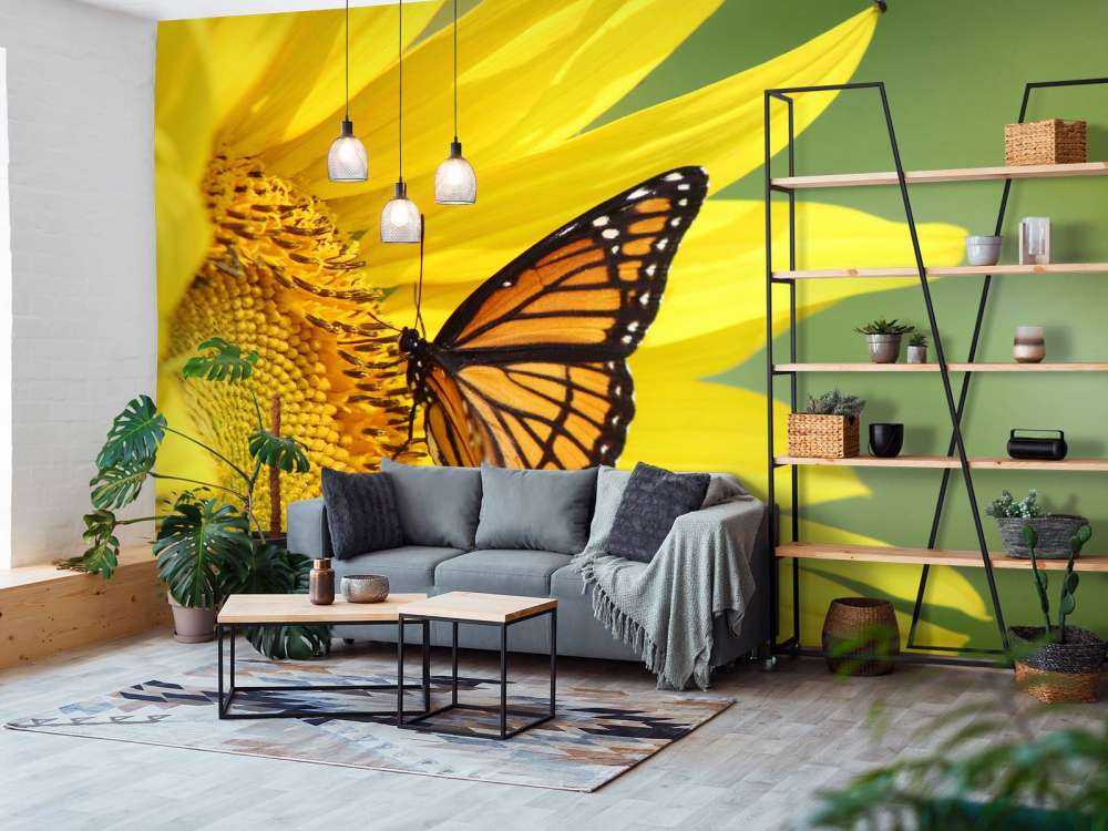 Oranje Vlinder op Zonnebloem