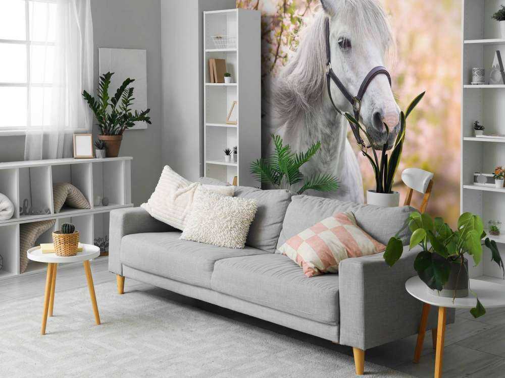 Wit Paard met Bloesem in Lente