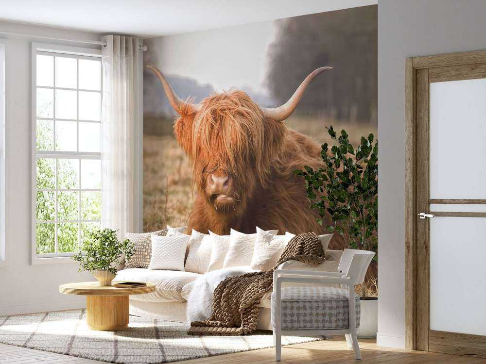 Liggende Hooglander in Wei