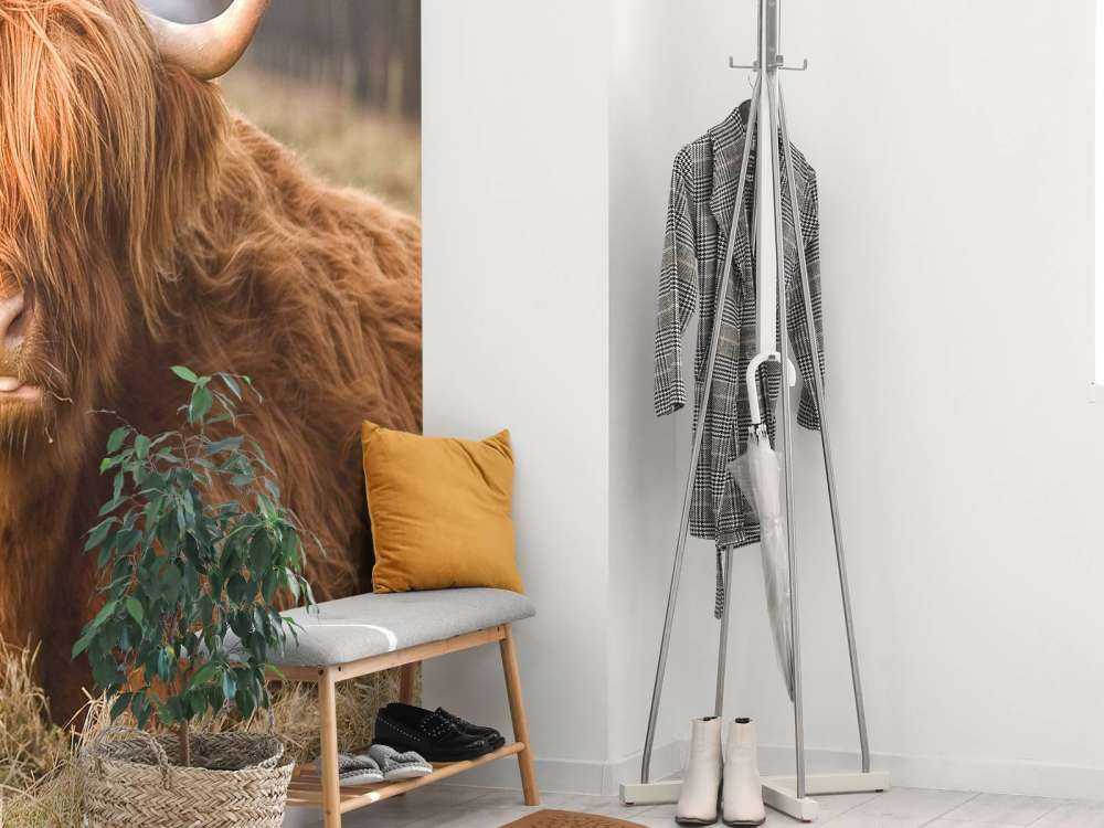 Liggende Hooglander in Wei