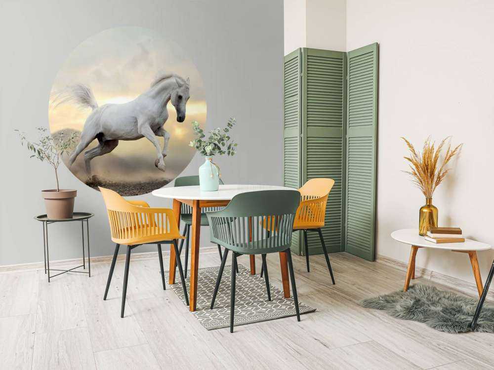 Arabische Hengst in het stof