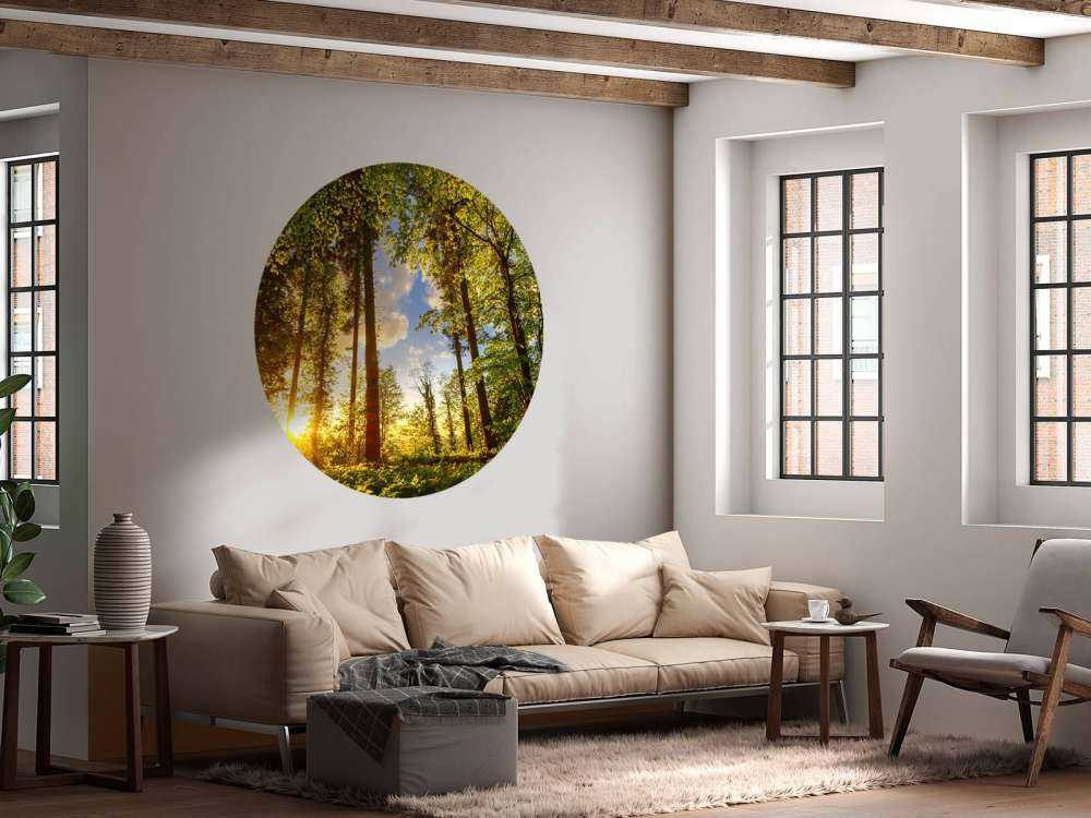 Zonsondergang door de bomen