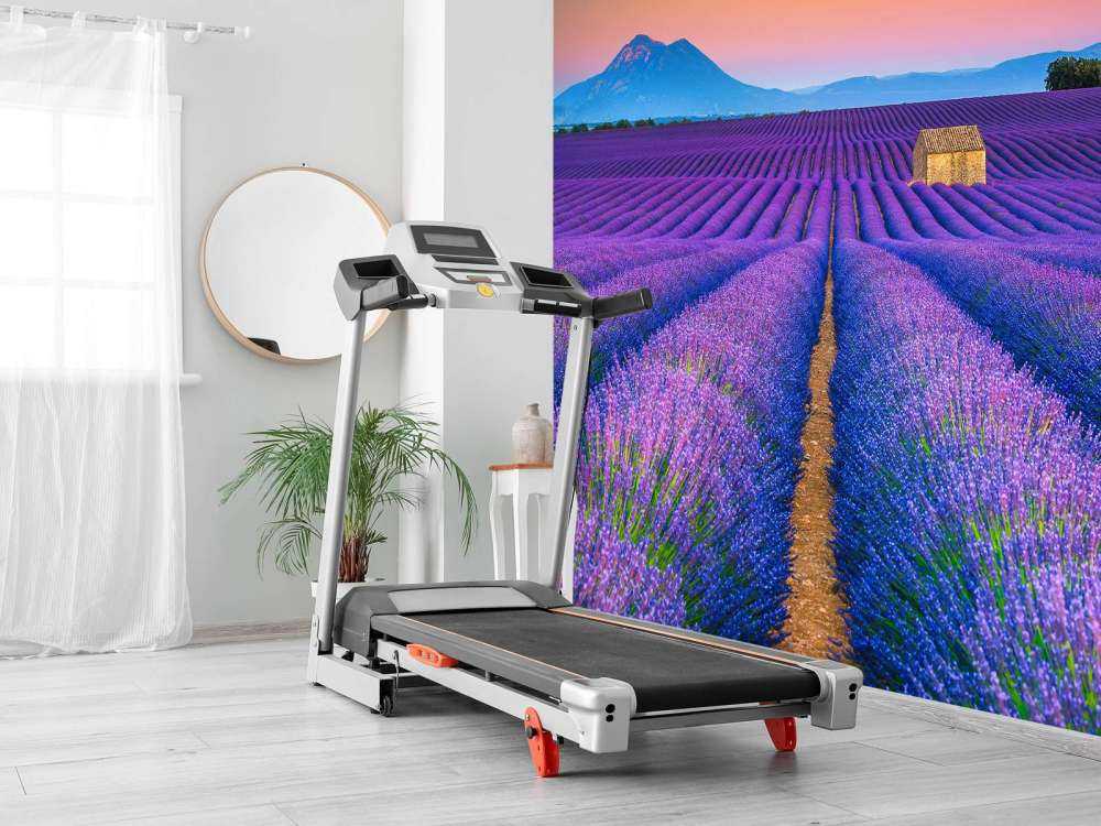 Prachtig bloemenveld van lavendel