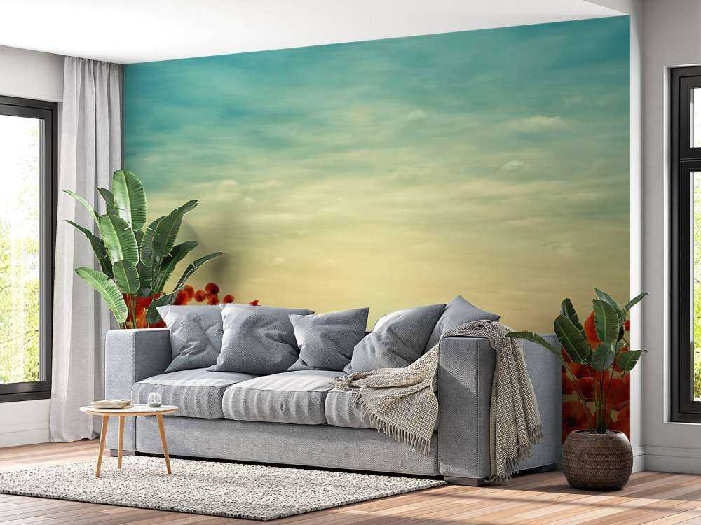 Klaprozen met zonsondergang