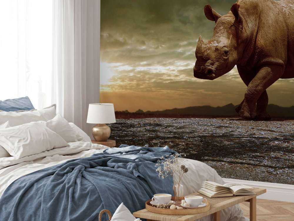 Afrikaanse neushoorn op een vuil veld