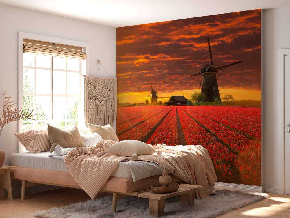 Hollands tulpenveld onder een rode lucht