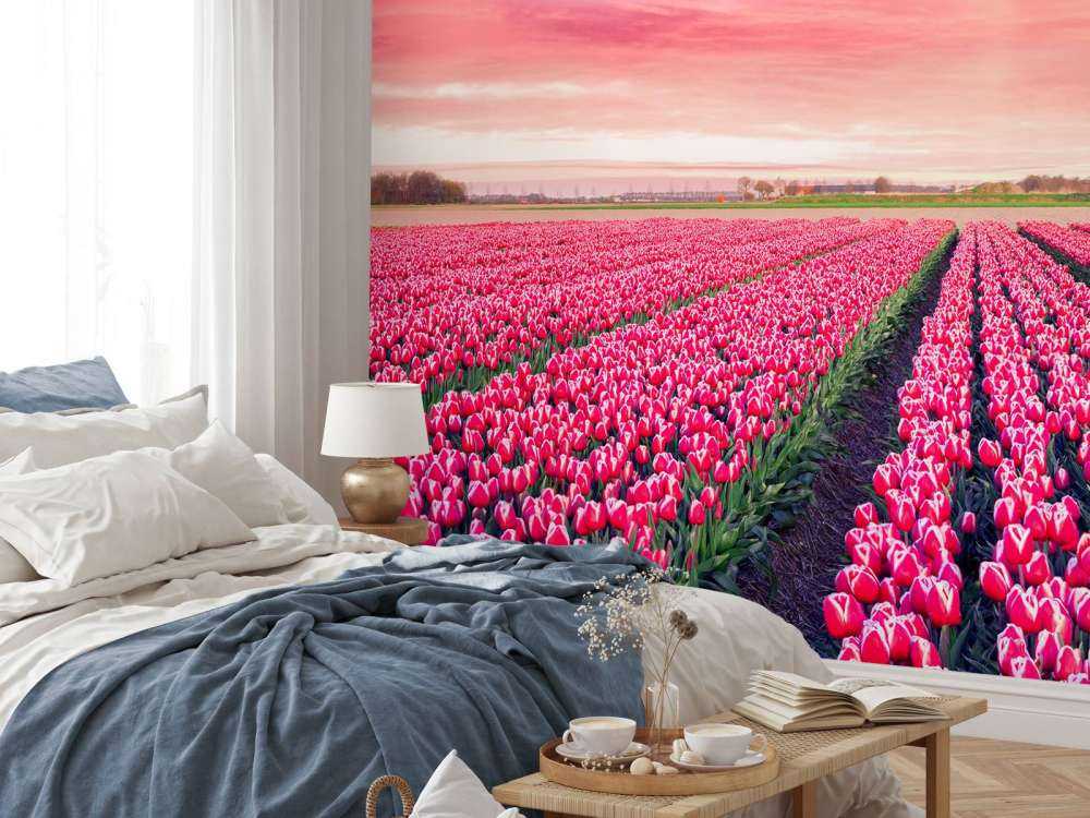 Roze tulpenveld met dynamische kleuren