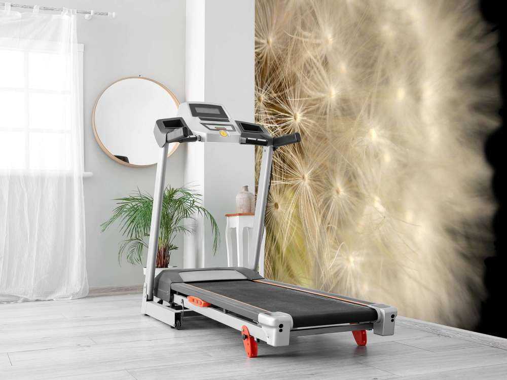 Paardenbloem met zwarte achtergrond