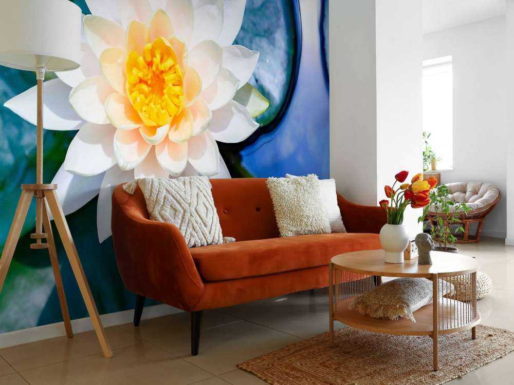 Witte lotusbloem met gele kern