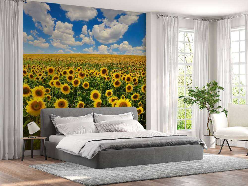 Zonnebloemveld onder een heldere lucht