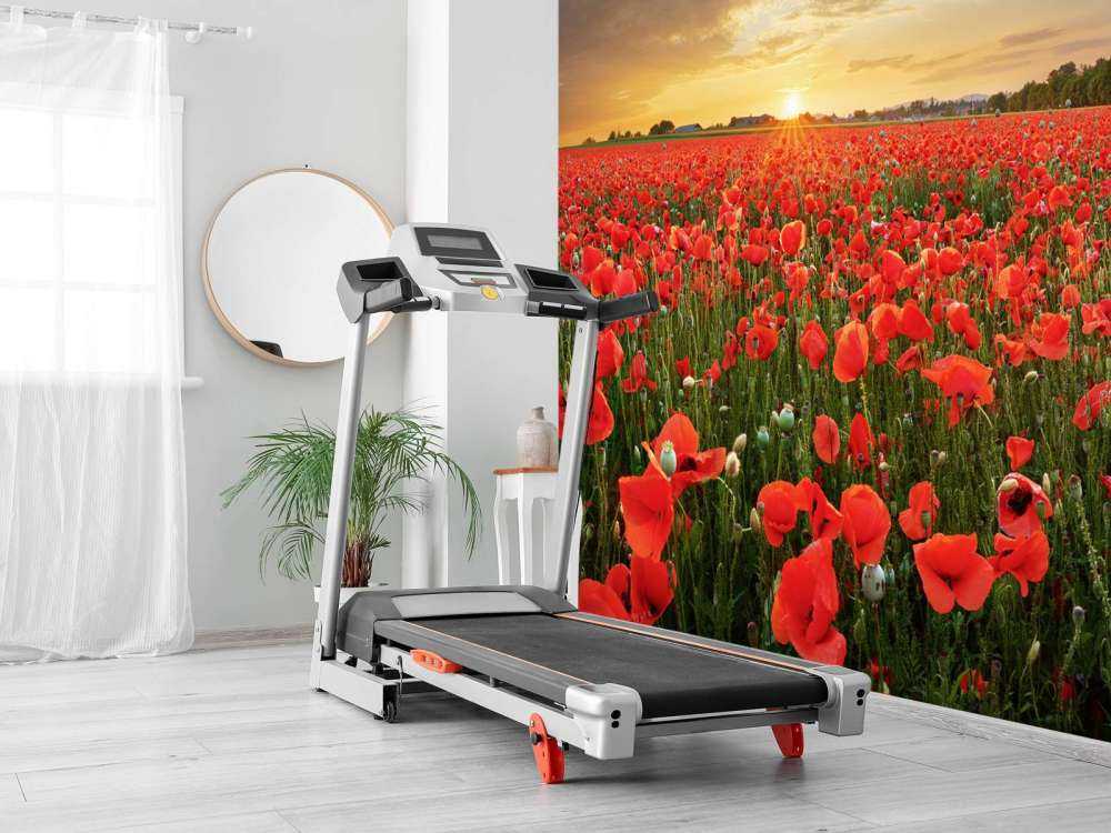 Zonsondergang met klaprozen