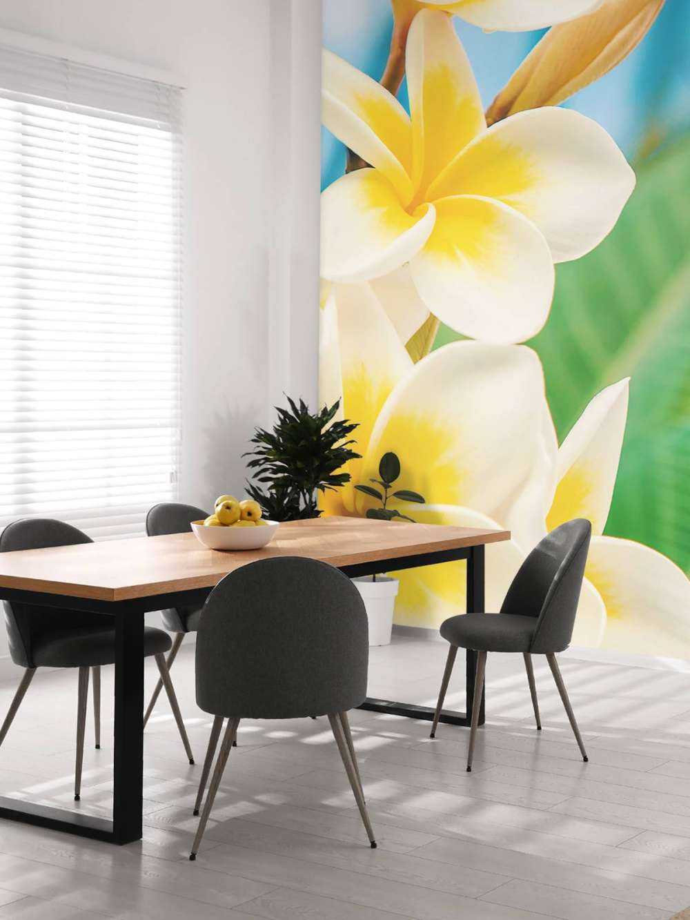 Wit gele Plumeria bloemen